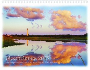 moon wall calendar 2013